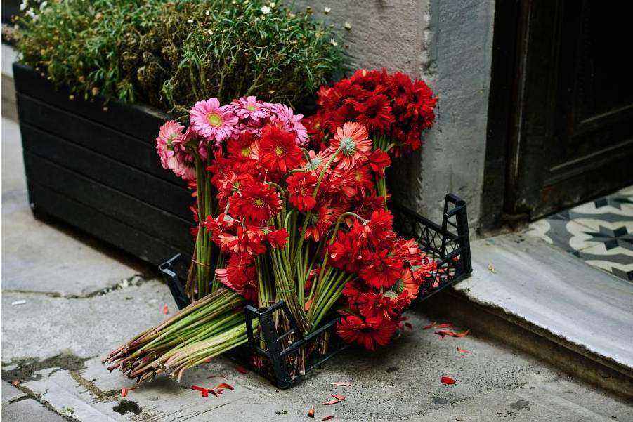 Betaalbaar tulpenboeket