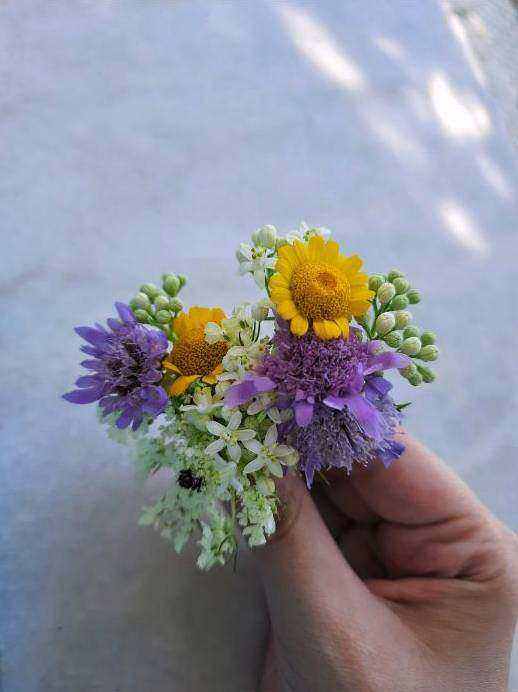 Betaalbaar tulpenboeket