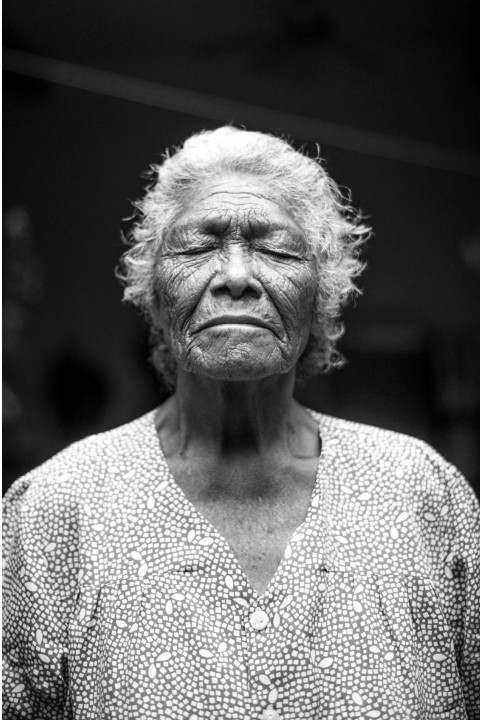 Onze bloemist